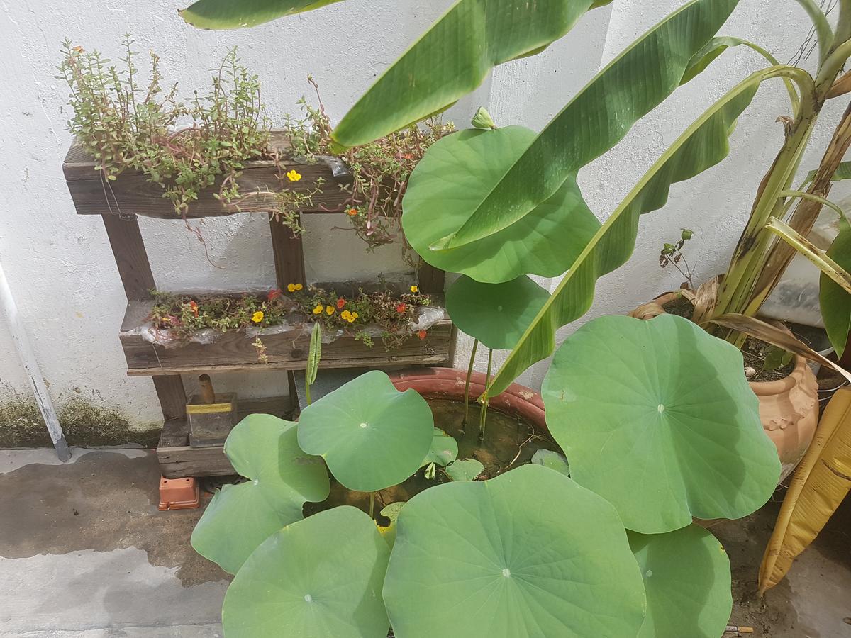 La La House Homestay Nha Trang Exteriér fotografie